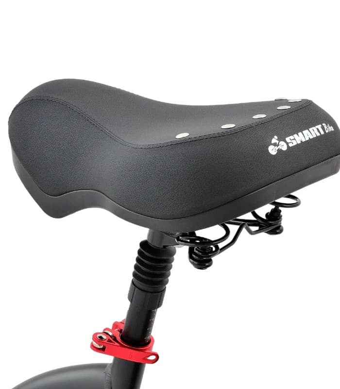 אופניים חשמליים SMART BIKE BIG Foot Hybrid PLUS